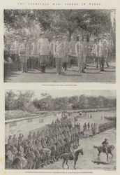 De Transvaaloorlog, scènes in Natal